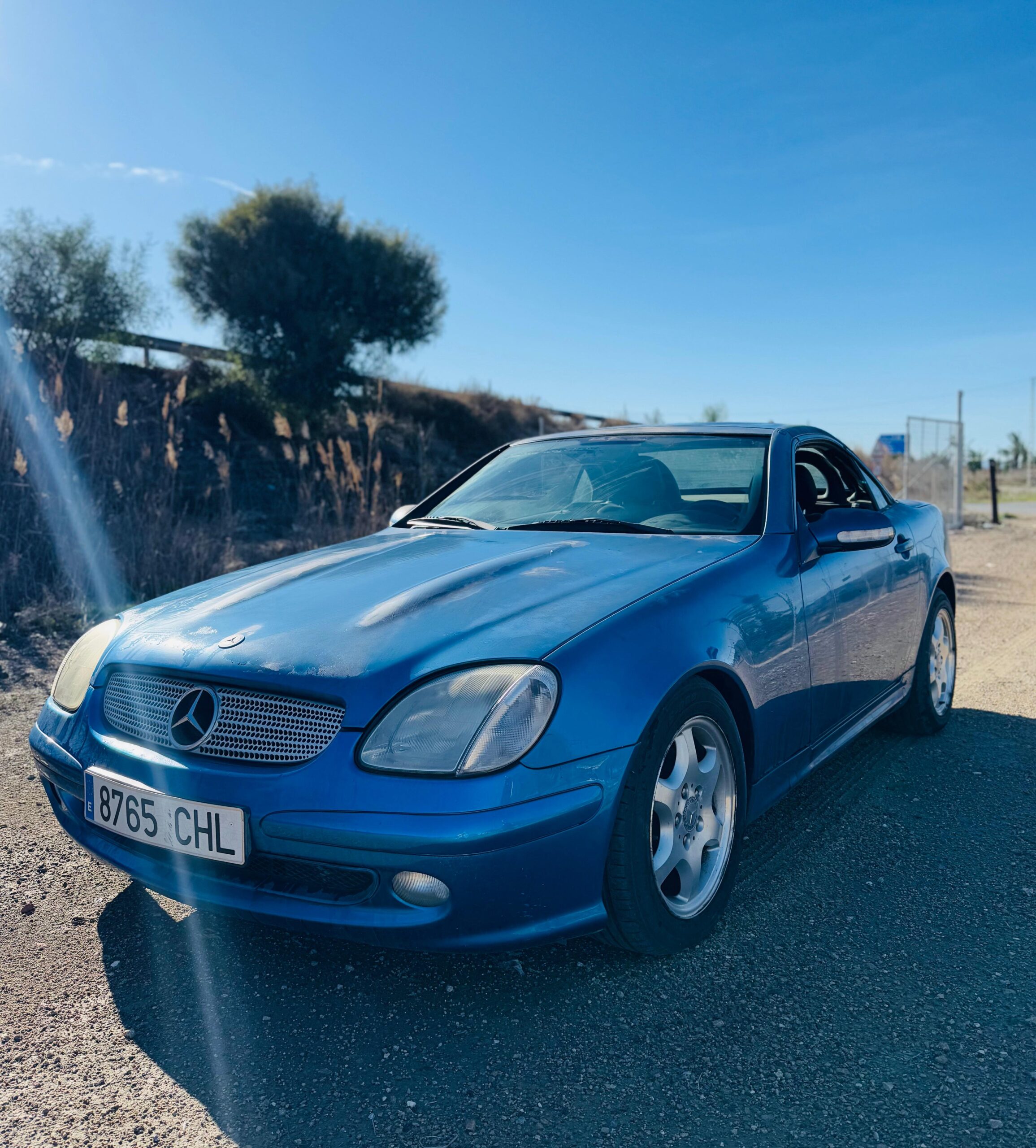 WhatsApp Image 2025-01-07 at 12.14.23